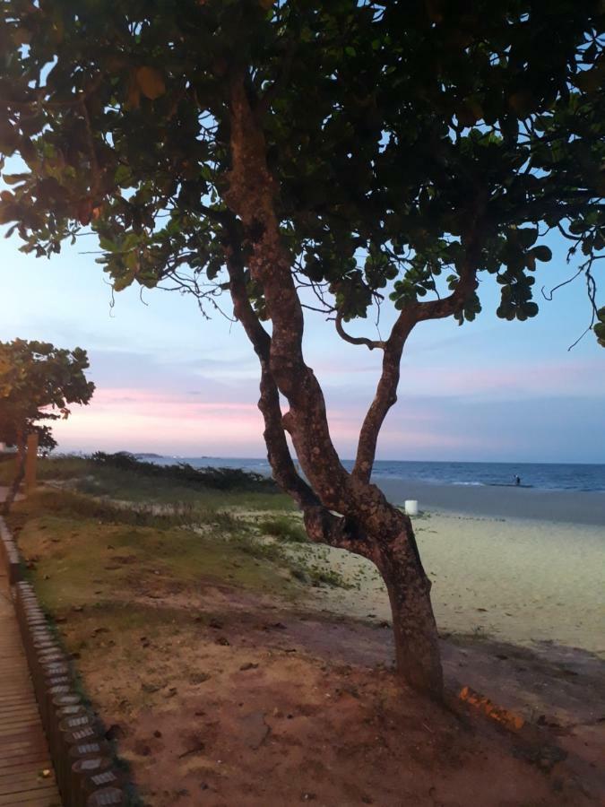 Apto De Praia Fiji 1108 Piçarras Εξωτερικό φωτογραφία